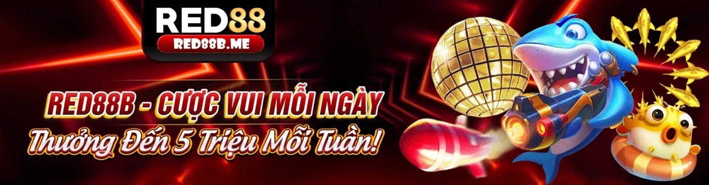 Tổng quan về hệ thống thanh toán kv999