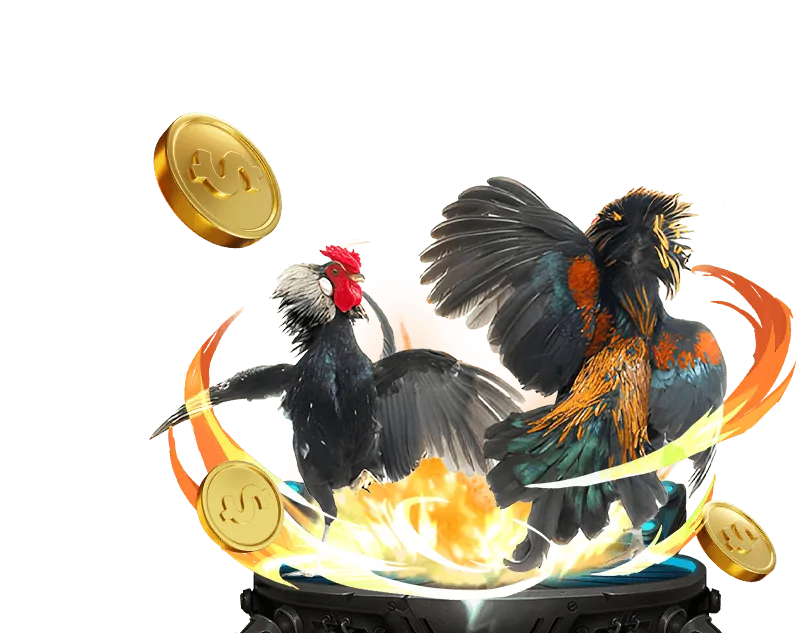 Mẹo và chiến lược chơi đá gà KV999